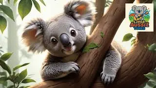 Koala Song for Kids | Aussie Nursery Rhyme