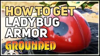 How to get Ladybug Armor Grounded Level 2 Armor