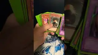 Serenity Wheeler Battle City Deck Profile