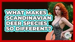 What Makes Scandinavian Deer Species So Different? - Unmapping Scandinavia