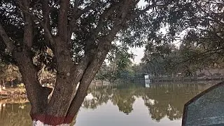 Beauty of nature live video 🌿🧿 আজ খেজুরি পার্ক ঘুরতে গেলাম 🌿#minivlog #viralvideo #video#viral🌱🌿🧿...