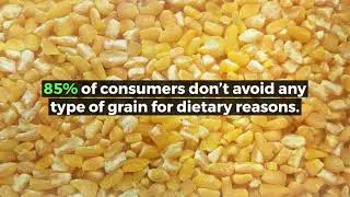 Grain and Bakery Innovation: Culinary Trend Tracking Series