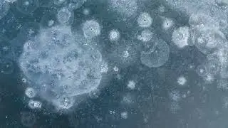 [EMOTIONAL, REFLECTIVE, MELANCHOLIC MUSIC] A FEELING OF FROST - 2025
