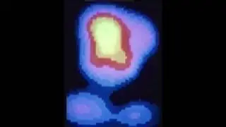 Einstein Digital (1973/1995)