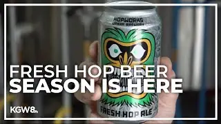Oregon brews create specialty beers for fresh hop beer season
