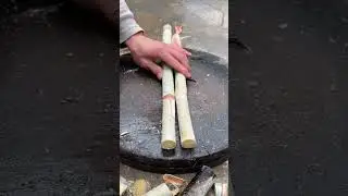 Fresh green sugar cane cutting process