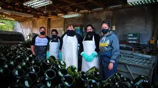 LAVADO DE BOTELLAS