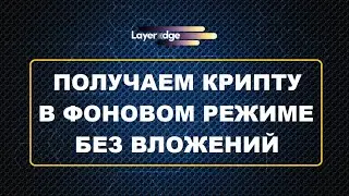 Layer Edge - выгодный майнинг без вложений