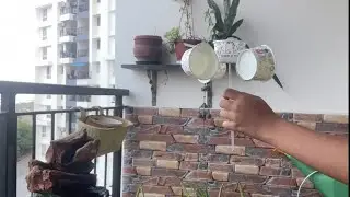 DIY Anemometer - Science Project | Explained to kids | Super Easy Science Project for kids