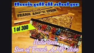 Phoenix gold - son of frank’AMP’stein sure rare old school amp