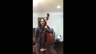 Prep Test  Double Bass  Vamoosh NO 15 Under the Coconut Tree F7411013 5E2E 482C A608 F1343083E5AA