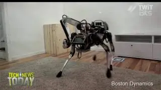 Robot Slips On Banana Peel!