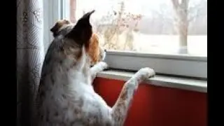 Waitlisting