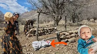 Nomadic Life: A brave nomadic woman Making a Nomadic shelter with tree branches