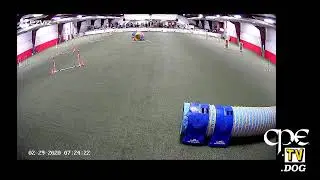 CPEtv Live Stream
