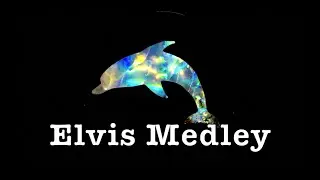 Elvis Medley ~ Karaoke ~ Elvis Presley
