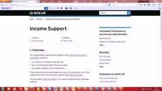 Income Support Number | 0800 169 0310 | Contact Number