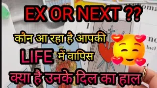 EX OR NEXT| CURRENT FEELINGS OF YOUR PARTNER| TAROT CARD READING IN HINDI|TAROT HINDI