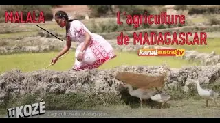 L'agriculture de Madagascar - sur KANAL AUSTRAL.TV