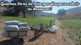 Qual é a despesa mensal do projeto de leite em 1 hectare?