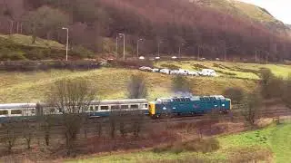 Deltic D9009 