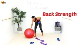 Утяжелители и эспандеры для спины &mdash; BARLATES BODY BLITZ Укрепление спины с Линдой Вулдридж
