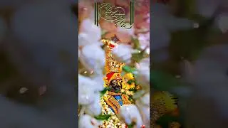 ude g ambe ude 🙏🏻 dandiya song 🙏🏻aai ambabai #saptshrungi #devi | Navratri song