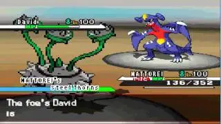 Pokemon B/W WiFi Battle #5: Shadowstorm vs. boomoo345