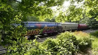 Trainspotting CN Rail for Alberta ride (Hopping Freight Trains 101)