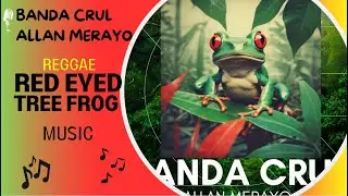 Costa Rica Reggae: Red Eye Frog Album