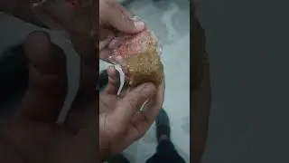 special sweet #dhoda #swift #viral #yt #fullhd #shorts