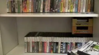 Updated Nintendo DS Collection (January 2010)
