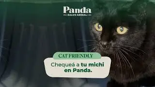 Espacio Catfriendly, cheque&aacute; a tu gato en Panda.
