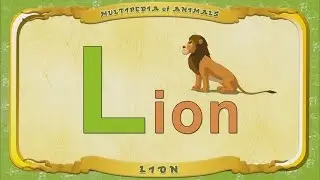 Multipedia of Animals. Letter L - Lion