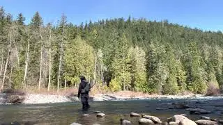 Middle Fork Willamette River March 2021