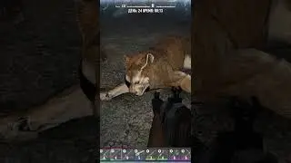 Floppa in 7 Days to Die