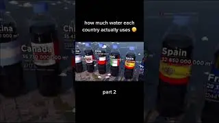 Memes from the Meme Collector's Collection