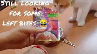 Wiskas Tasty Mix Review 🔥 Ultimate cat gravy food