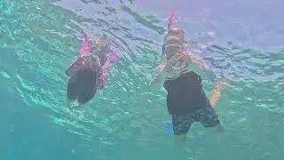 Snorkelling at Red Sea, Egypt 2025/ Снорклинг в Красном море, Египет 2025