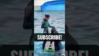 Jessica Radcliffe  | A Dolphin Orca attacked Jessica, a sorrowful story  #facts #jessica #dolphin