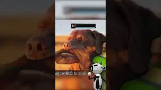 Low HP Gragas #leagueoflegends #memes #mordekaiser #funny #mordekaisergameplay #gaming