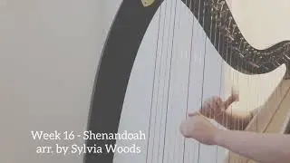 Harp Progress Month 4 - Adult Beginner