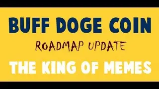 Buff Doge Coin Roadmap Update