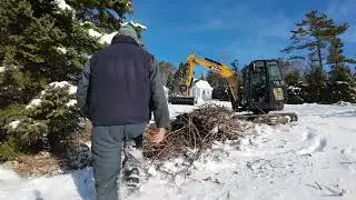 Mulching Maple limbs and spruce. #mulching #miniexcavator #sanyexcavator