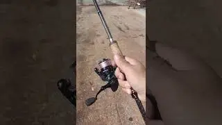 Bison S4 7.3Ft. #akan #bison #fishing #S4 #คันเบ็ดตกปลา #คันตีปลาวัง #ตกกระพง #คันต่อโคน