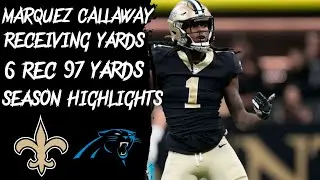 New Orleans Saints- Marquez Callaway Vs Carolina Panthers Week 17 Season Highlights