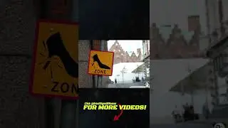 6 Very Funny Stupid Signs Great Signs of Humor #funnysigns