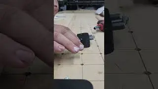The 