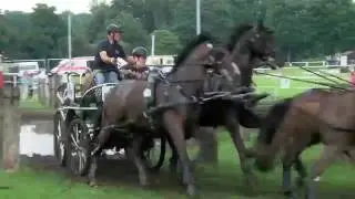 Gespannfahren beim Oldenburger Landesturnier