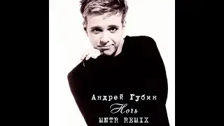 Андрей Губин - Ночь (MNTR Remix)